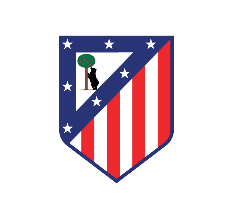 team icon
